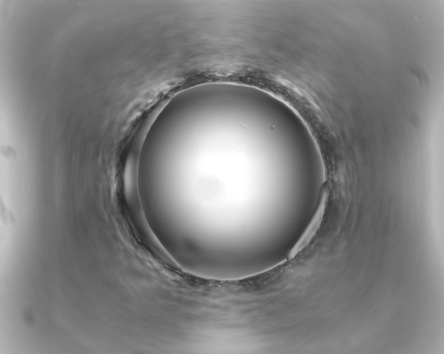 X0000091181349200708091215