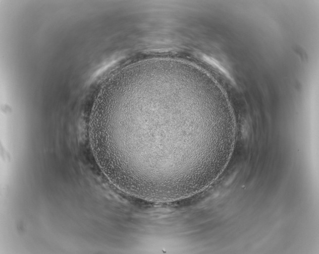 X0000091181350200708091215