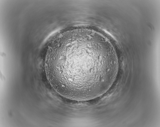 X0000091181351200708091215