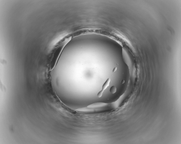 X0000091181352200708091215