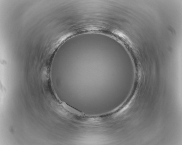 X0000091181353200708091215