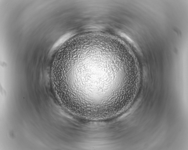 X0000091181354200708091215