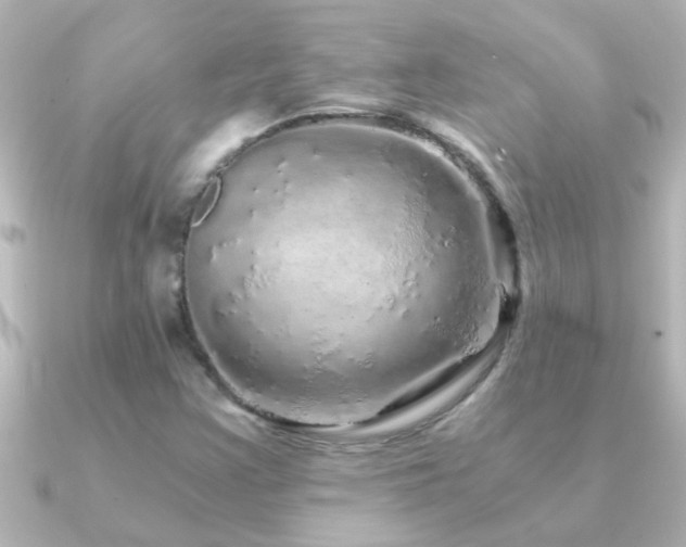 X0000091181355200708091215