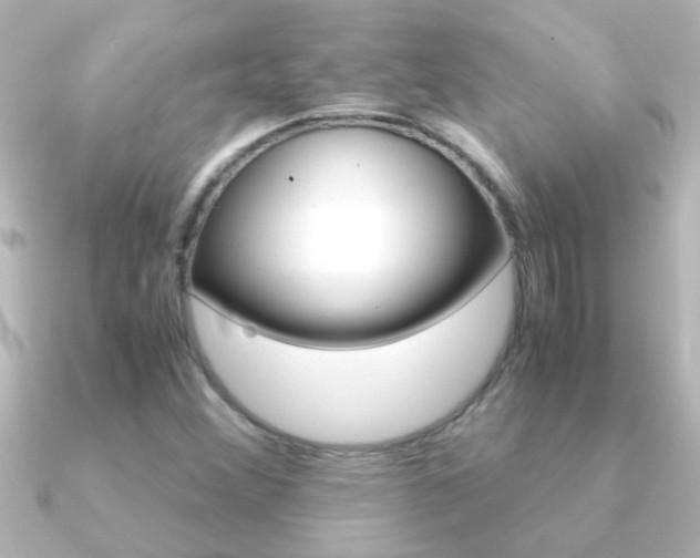 X0000091181356200708091215