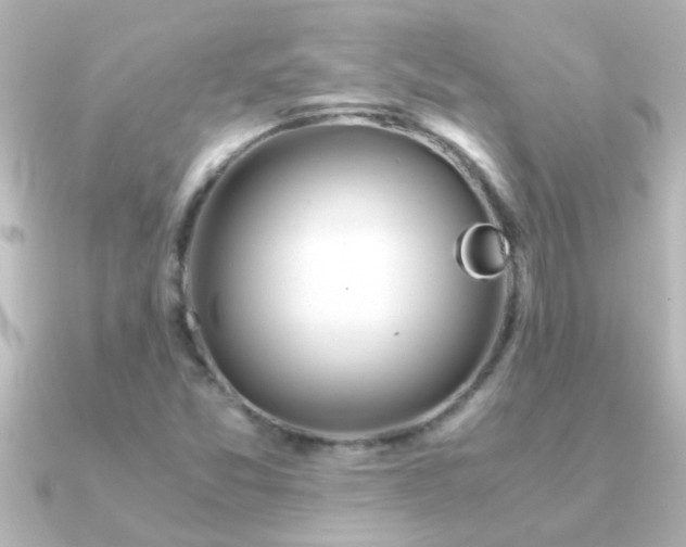 X0000091181357200708091215