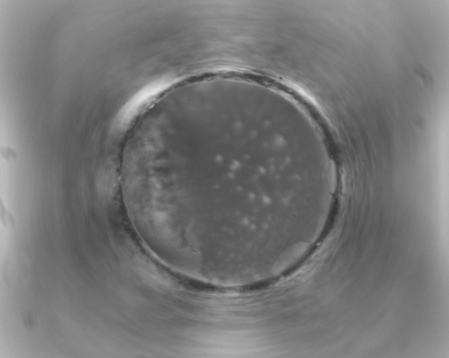 X0000091181359200708091214