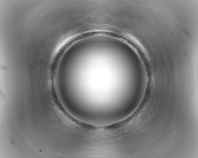 X0000091181360200708091214