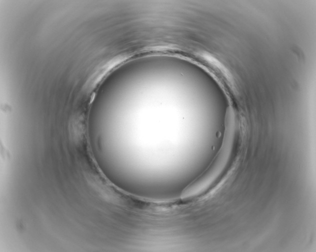 X0000091181361200708091214