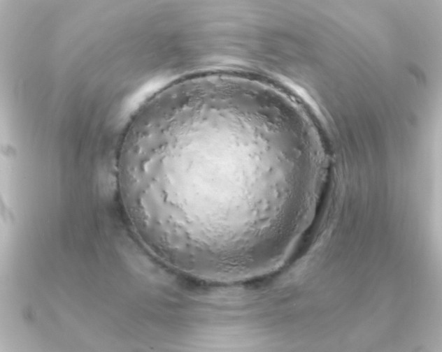 X0000091181363200708091214