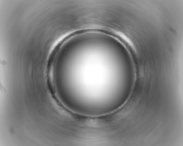 X0000091181364200708091214