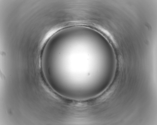 X0000091181365200708091214