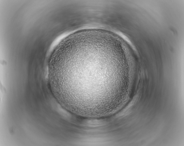 X0000091181366200708091214