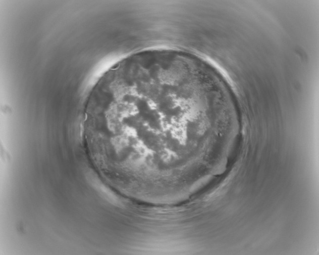 X0000091181367200708091214