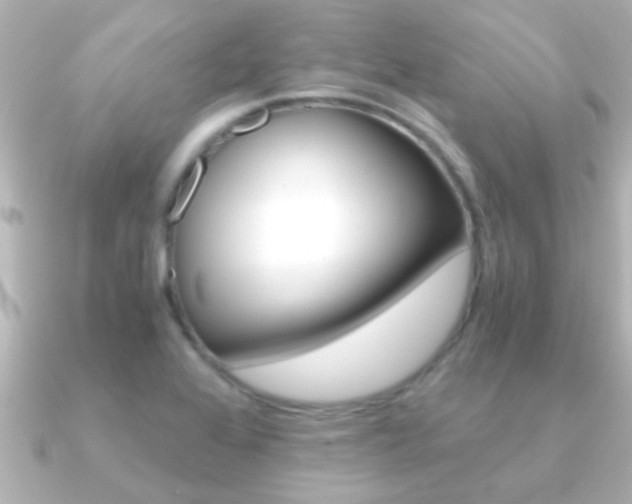 X0000091181368200708091214