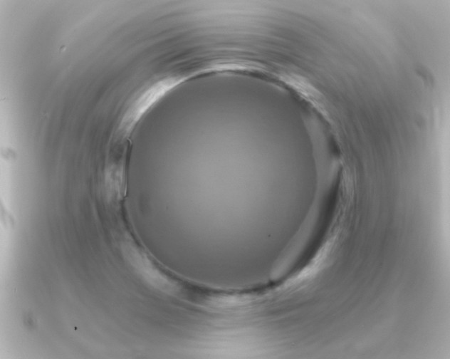 X0000091181369200708091214