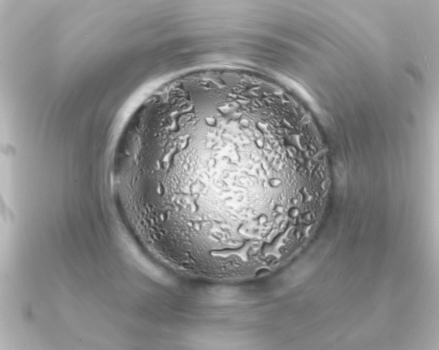 X0000091181371200708091214