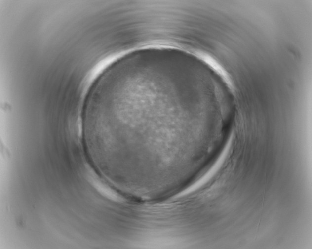 X0000091181372200708091214