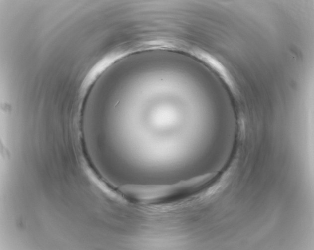 X0000091181373200708091214