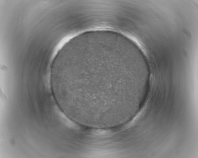 X0000091181374200708091214