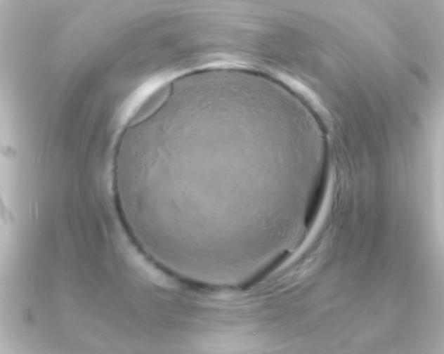 X0000091181375200708091214