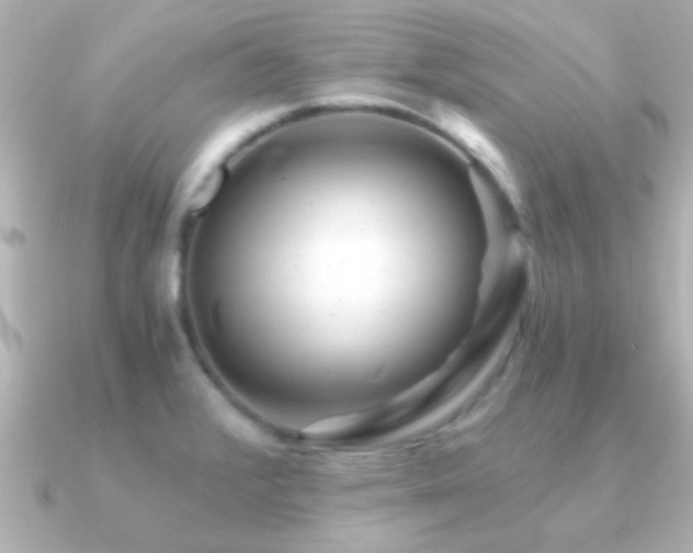 X0000091181376200708091214
