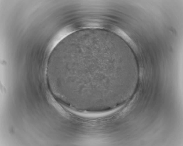 X0000091181378200708091214