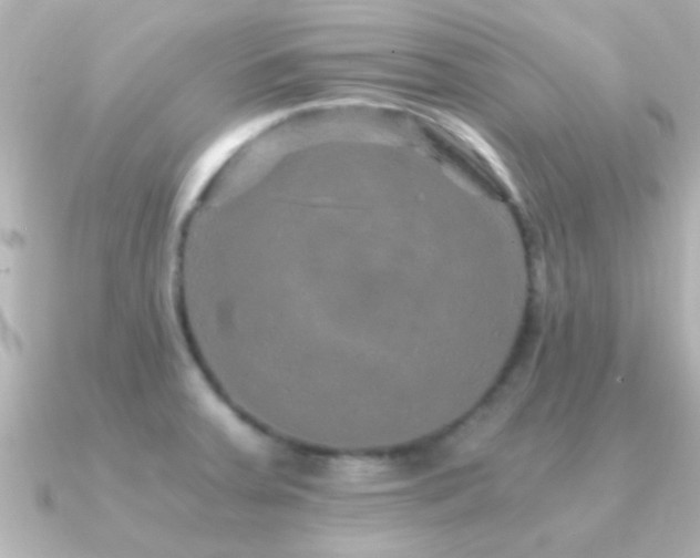 X0000091181379200708091214