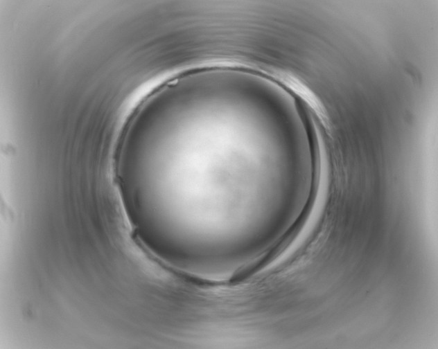 X0000091181380200708091214