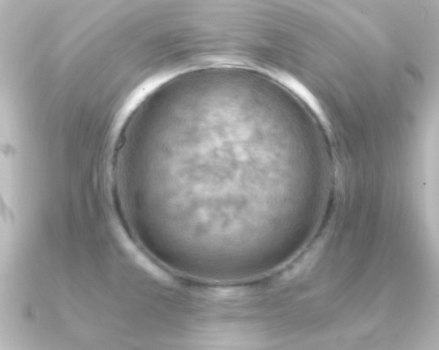 X0000091181381200708091214