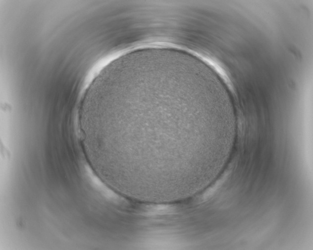 X0000091181382200708091214