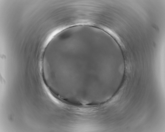 X0000091181383200708091214