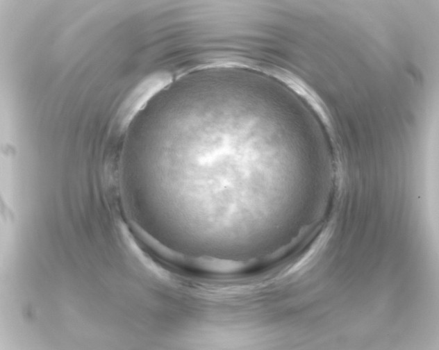X0000091181385200708091214
