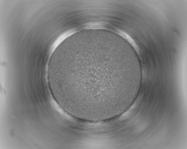 X0000091181386200708091214