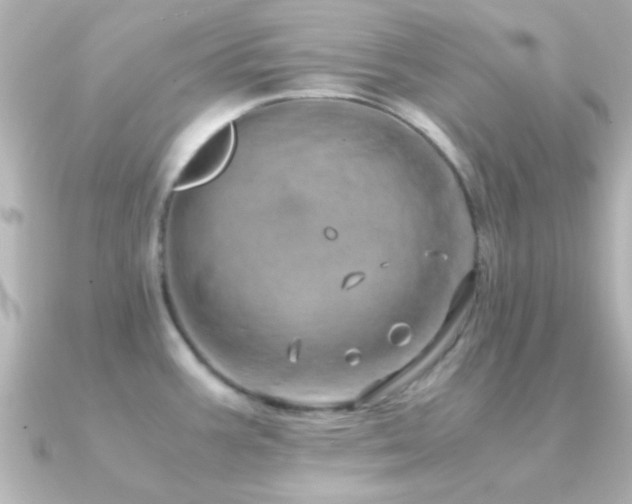 X0000091181387200708091214