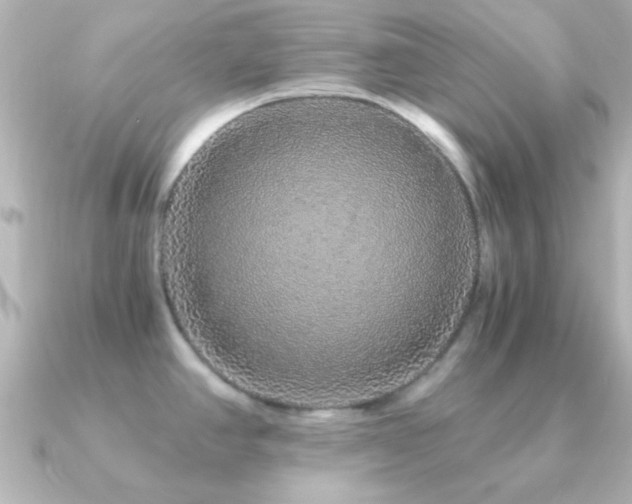 X0000091181390200708091214