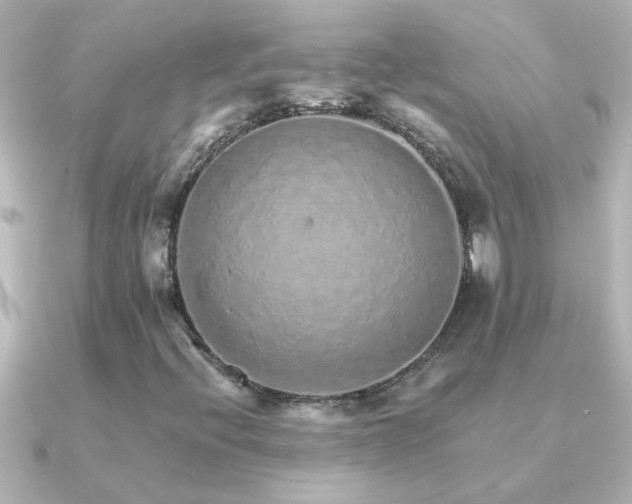 X0000091181396200708091214