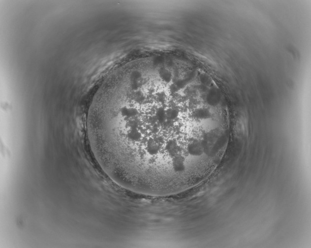 X0000091181397200708091214