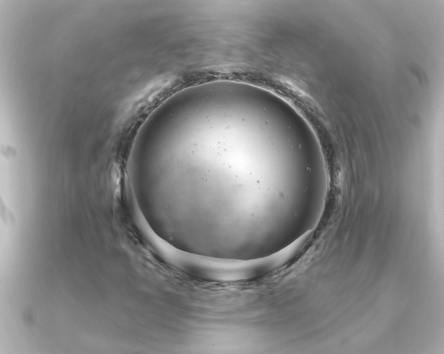 X0000091181398200708091214