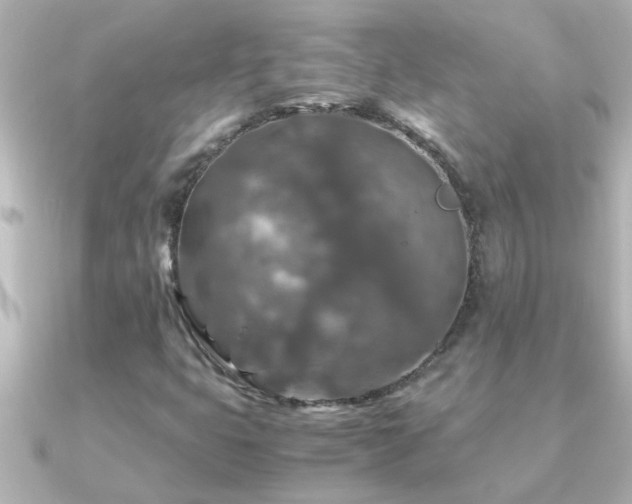 X0000091181399200708091214