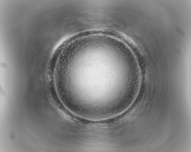 X0000091181400200708091214