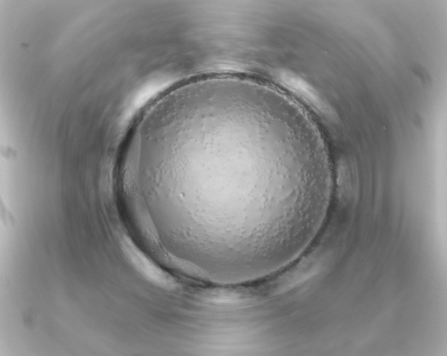 X0000091181404200708091214