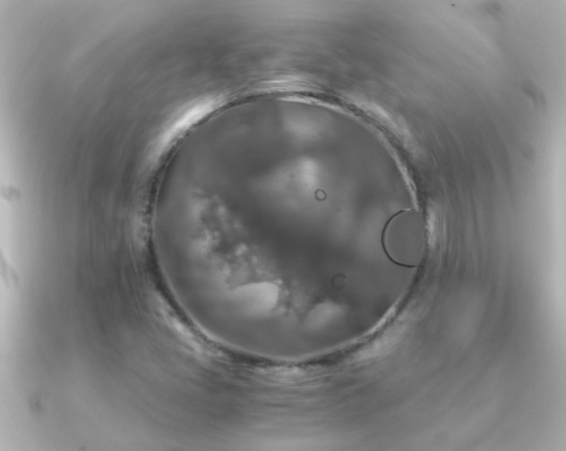 X0000091181405200708091214