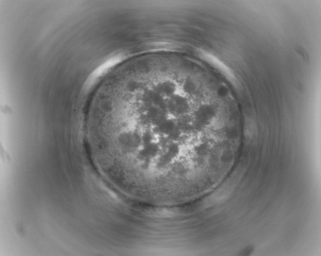 X0000091181411200708091214