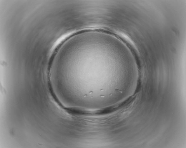 X0000091181412200708091214