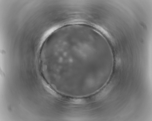 X0000091181413200708091214
