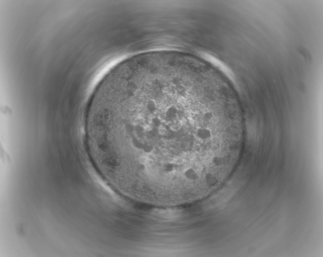 X0000091181415200708091214