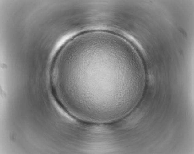 X0000091181416200708091214