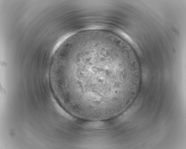 X0000091181417200708091214