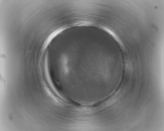 X0000091181418200708091214