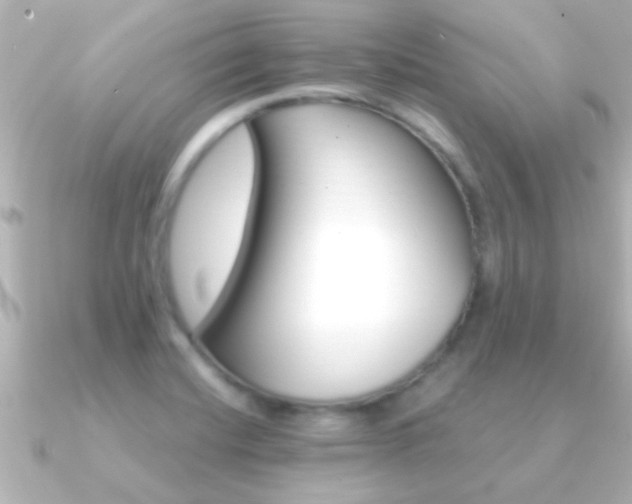 X0000091181420200708091214